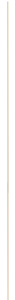 Untitled design (71)